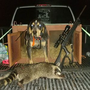 Meet your Posher, Jesse james